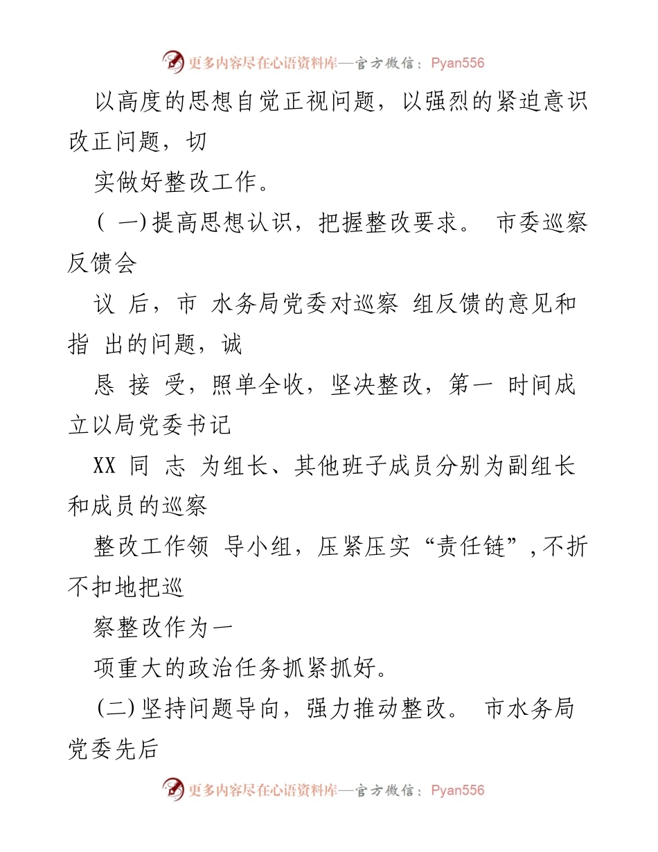 [工作总结] 巡察整改 - 市水务局巡察整改进展情况报告.docx_第2页