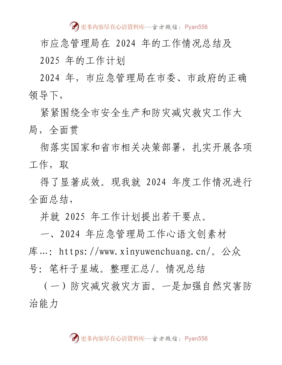 [工作总结] 年度工作总结 - 2024年市应急管理局工作总结及2025年工作计划.docx_第1页