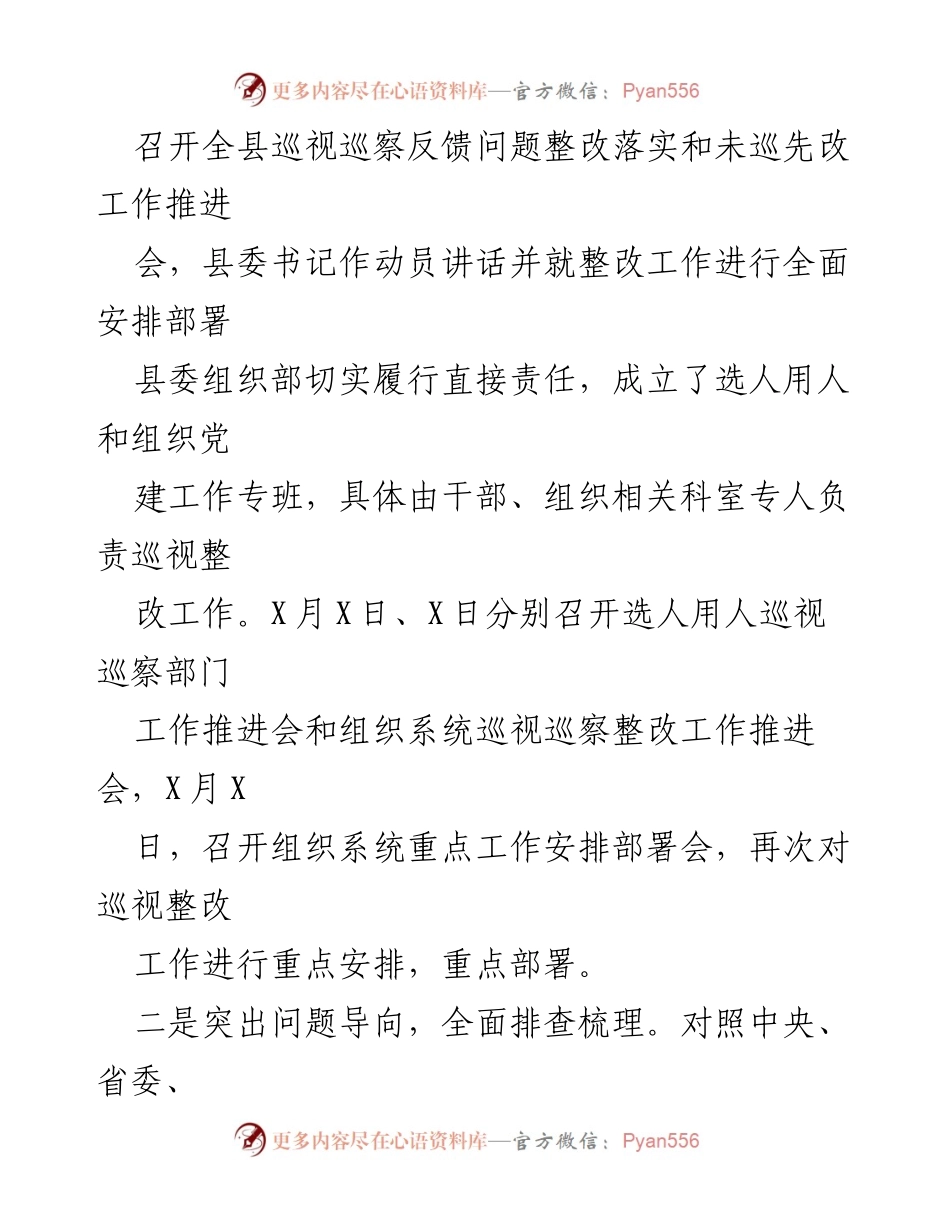 [工作总结] 巡视整改动员会 - X县巡视巡察整改工作情况汇报_1.docx_第2页