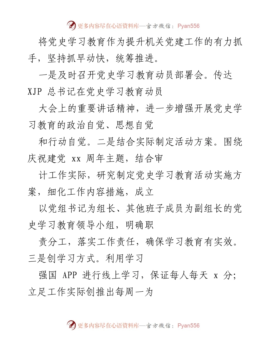 [工作总结] 审计局 - 202X年审计局党建工作总结与计划报告.docx_第2页