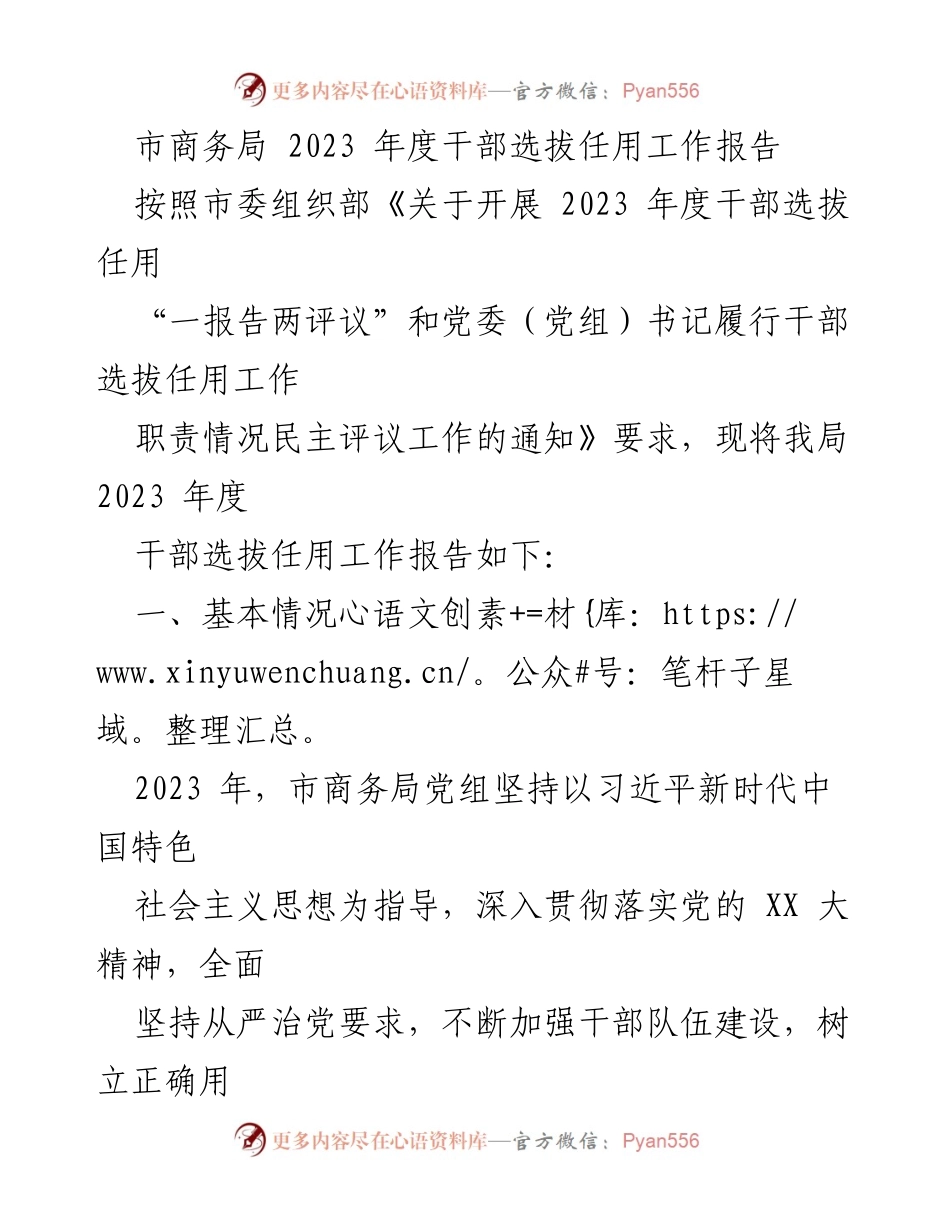 [工作总结] 市商务局 - 2023年度干部选拔任用工作报告.docx_第1页