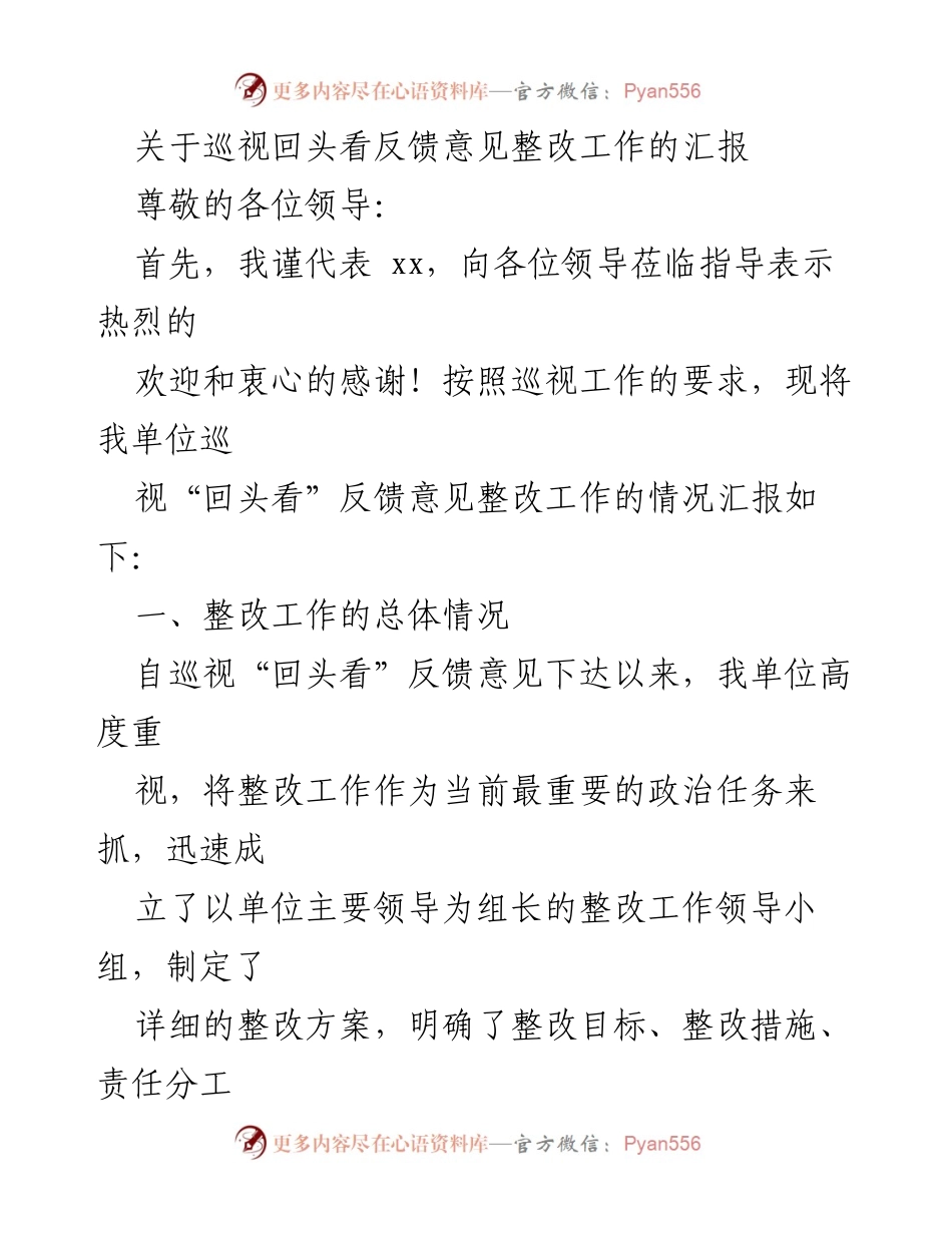 [工作总结] 巡视整改 - 巡视“回头看”反馈意见整改工作总结报告.docx_第1页