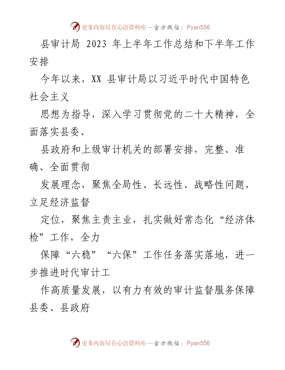 [工作总结] 审计局 - 2023年上半年工作总结与下半年工作安排.docx_第1页