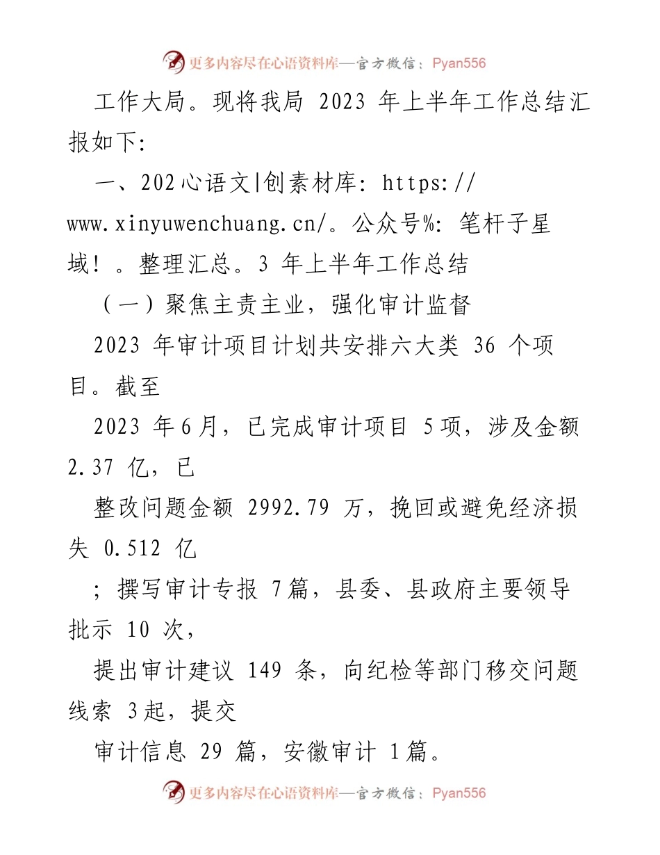 [工作总结] 审计局 - 2023年上半年工作总结与下半年工作安排.docx_第2页