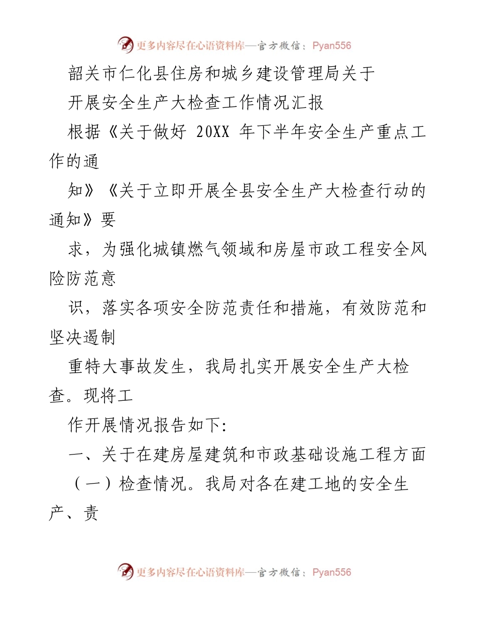 [工作总结] 安全生产大检查 - 仁化县安全生产大检查工作情况汇报.docx_第1页