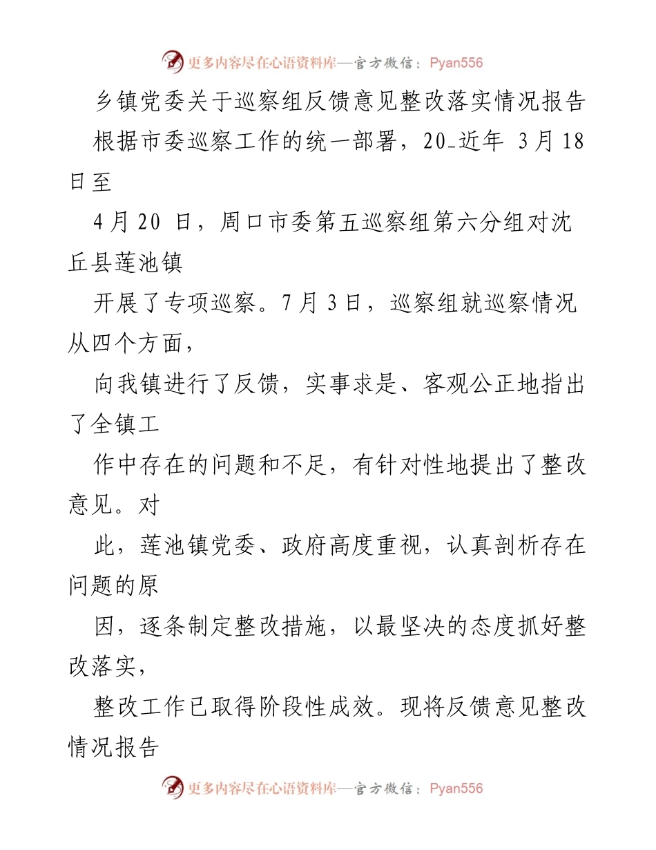 [工作总结] 巡察整改 - 沈丘县莲池镇巡察反馈意见整改落实情况报告.docx_第1页