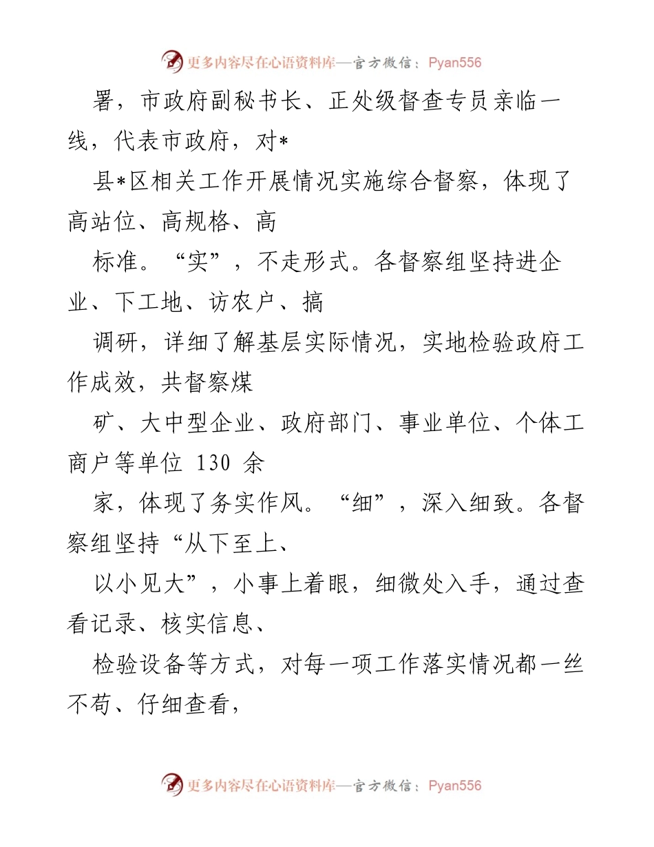 [工作总结] 市政府督察 - 市政府综合督察工作报告总结.docx_第2页