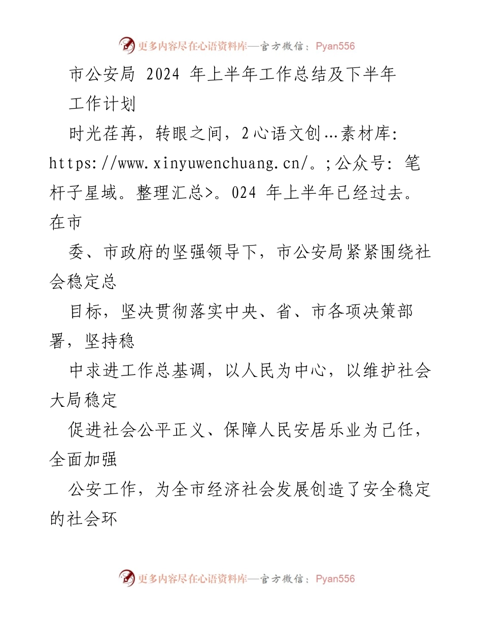 [工作总结] 市公安局 - 2024年上半年工作总结与下半年工作计划_1.docx_第1页
