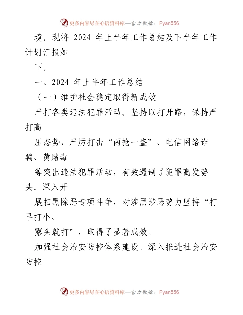 [工作总结] 市公安局 - 2024年上半年工作总结与下半年工作计划_1.docx_第2页