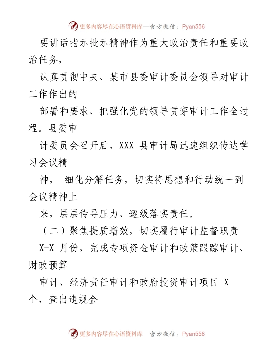 [工作总结] 审计工作 - 2023年上半年县审计局工作总结与下半年安排.docx_第2页