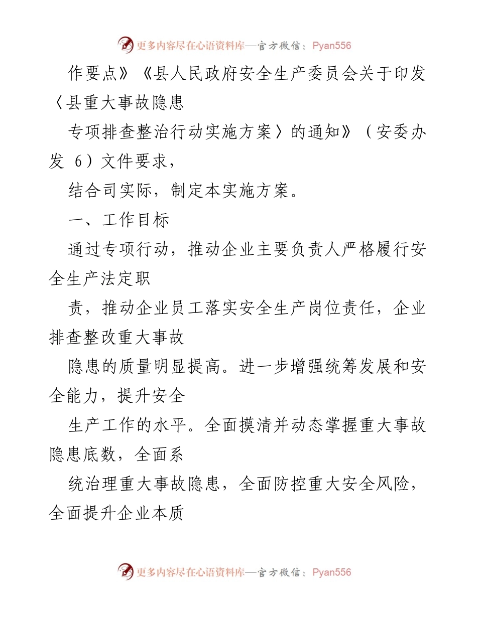 [工作总结] 安全生产 - 2023年重大事故隐患专项排查整治行动实施方案.docx_第2页