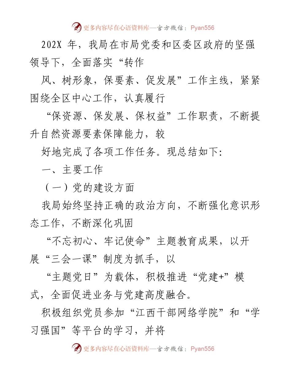 [工作总结] 年度工作总结 - 202X年自然资源局党建工作总结与成效分析.docx_第1页