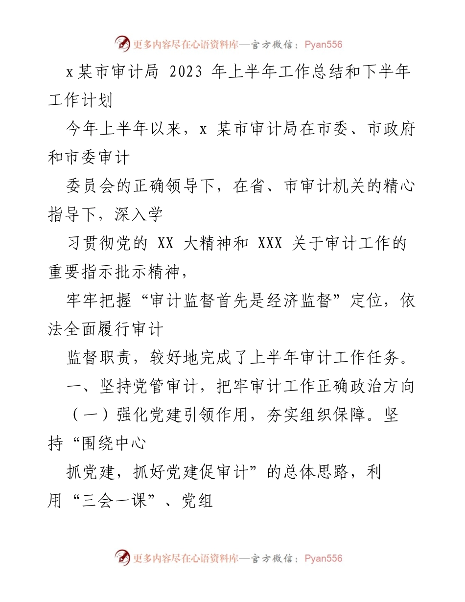[工作总结] 审计局 - 2023年上半年工作总结与下半年工作计划_1.docx_第1页