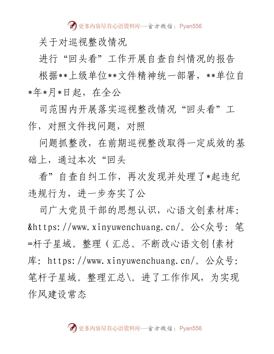 [工作总结] 巡视整改 - 巡视整改“回头看”工作自查自纠情况报告.docx_第1页