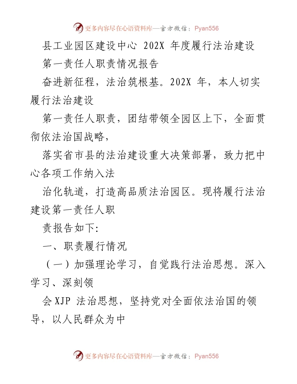 [工作总结] 工业园区法治建设 - 202X年度法治建设第一责任人职责履行情况报告.docx_第1页