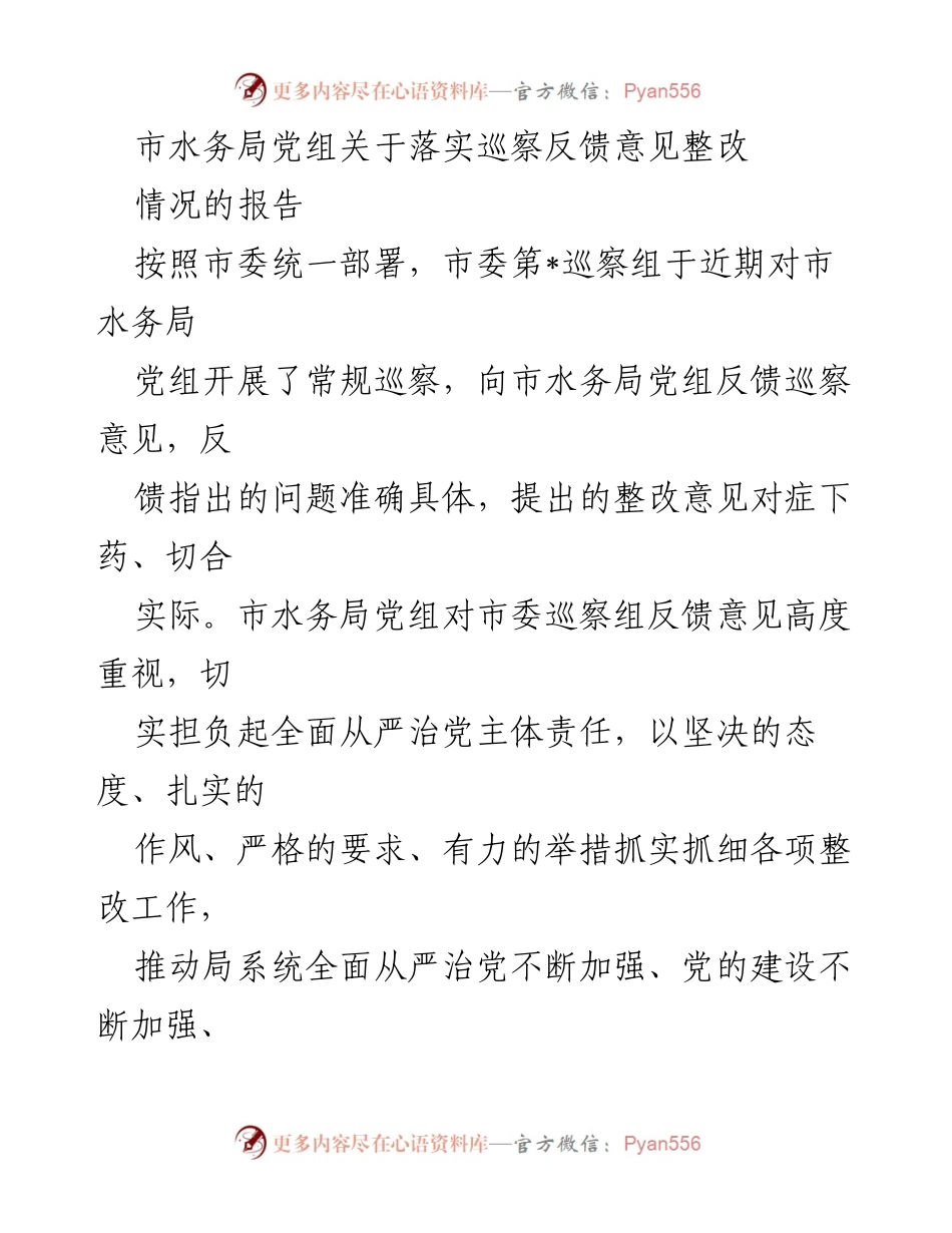 [工作总结] 市水务局 - 巡察反馈意见整改落实情况报告.docx_第1页