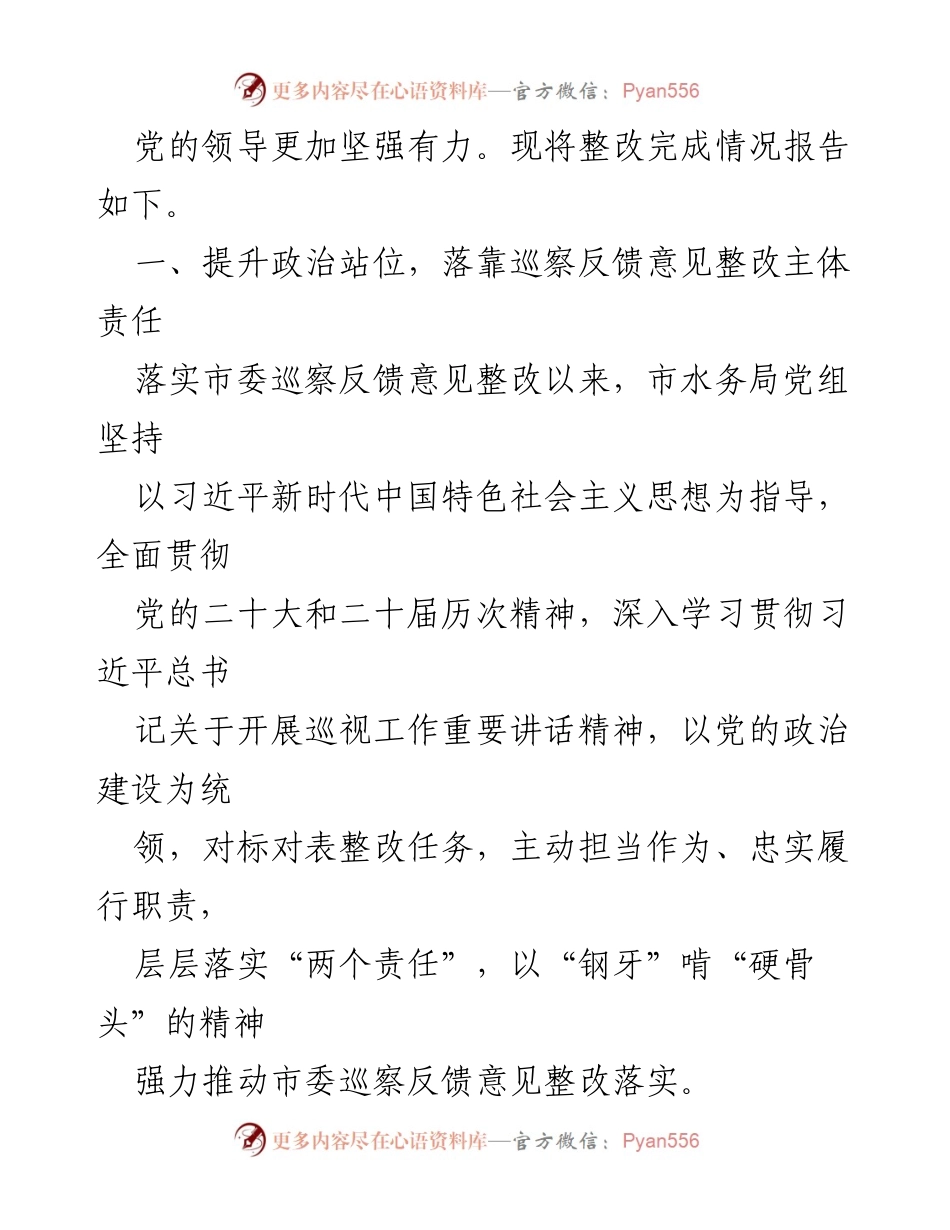 [工作总结] 市水务局 - 巡察反馈意见整改落实情况报告.docx_第2页