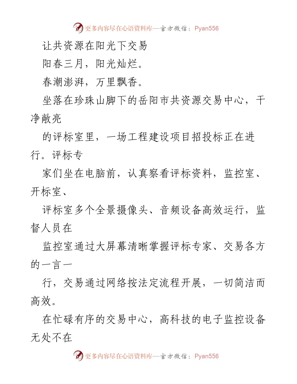 [工作总结] 岳阳市共资源交易中心 - 打造阳光交易平台，推动共资源高效交易.docx_第1页
