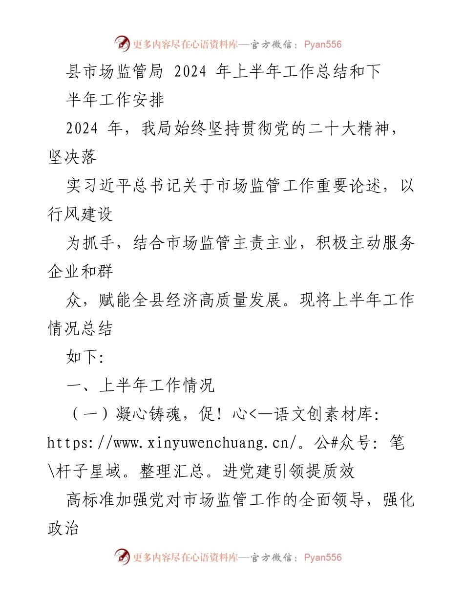 [工作总结] 市场监管局 - 2024年上半年工作总结与下半年工作安排.docx_第1页
