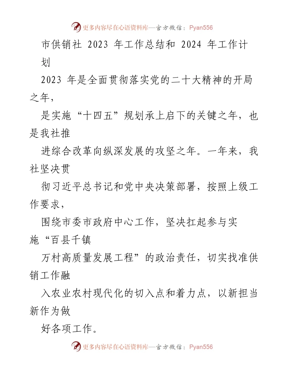 [工作总结] 年度工作总结 - 市供销社2023年工作总结与2024年工作计划.docx_第1页
