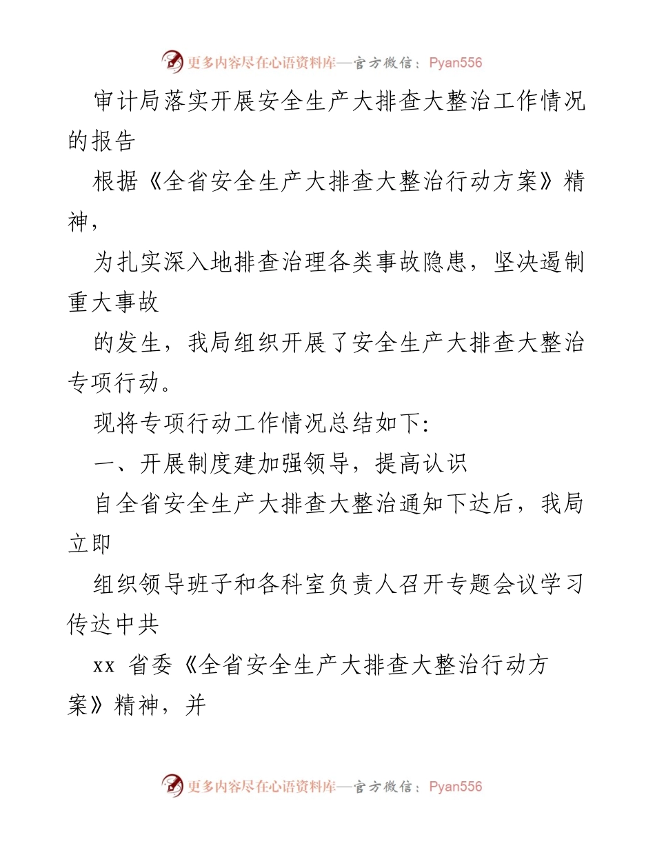 [工作总结] 安全生产大排查大整治 - 审计局安全生产大排查整治工作情况总结报告.docx_第1页