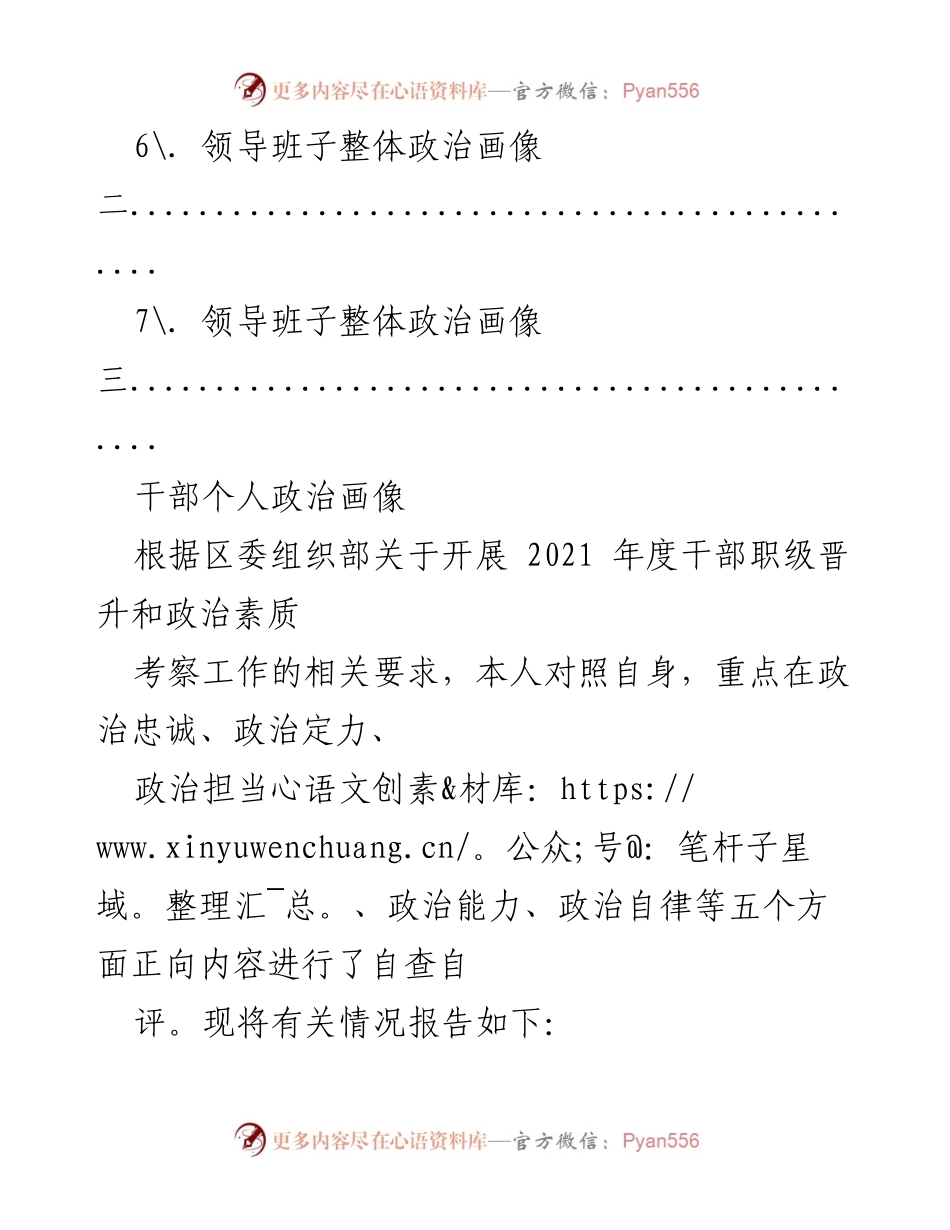 [工作总结] 干部考察 - 干部个人与领导班子政治画像汇编.docx_第2页