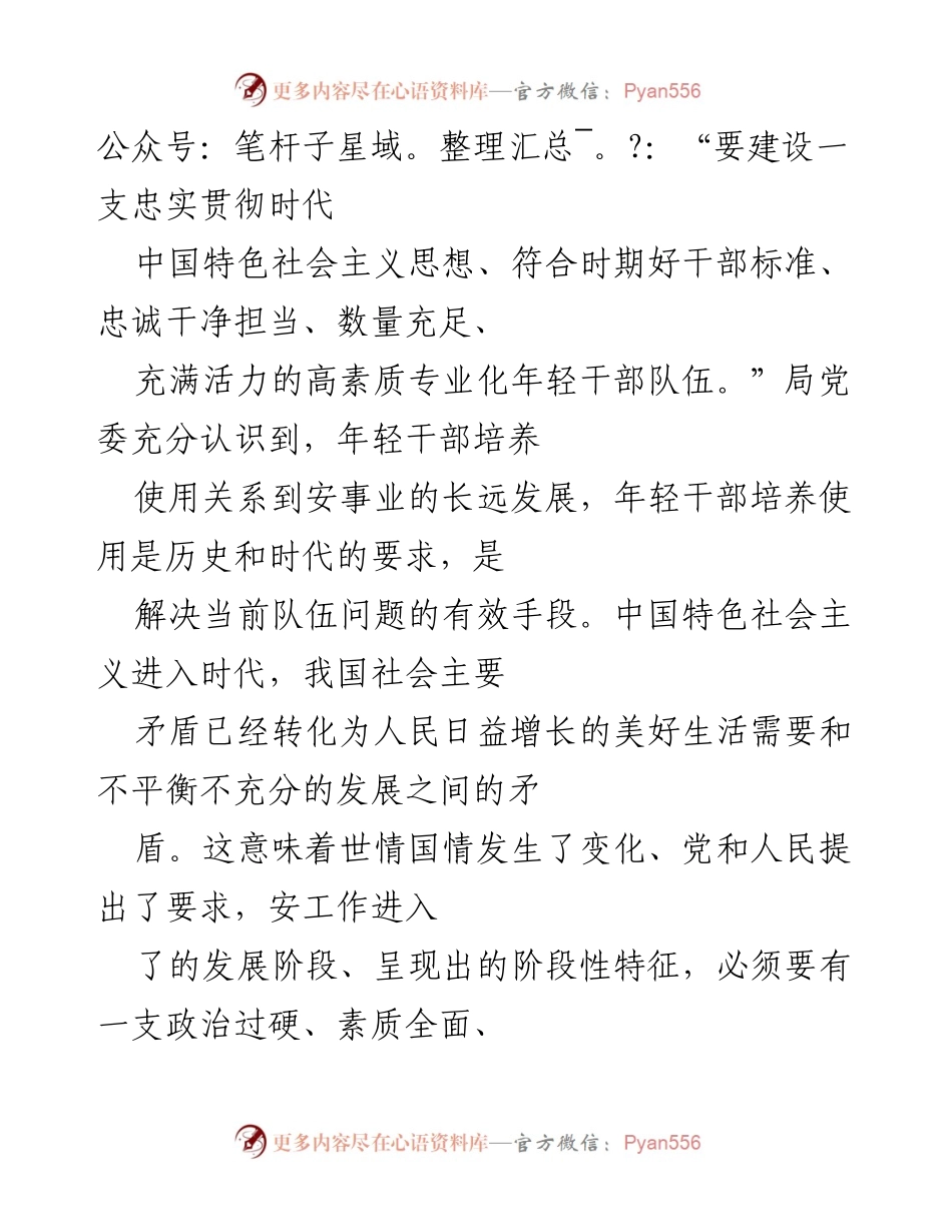 [工作总结] 安局干部队伍建设 - 加强年轻干部培养使用，推动安局高素质人才队伍建设.docx_第2页