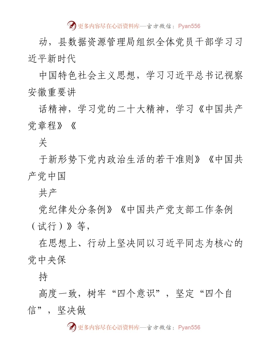 [工作总结] 年度工作总结 - XX县数据资源管理局2022年工作总结与2023年工作计划.docx_第2页