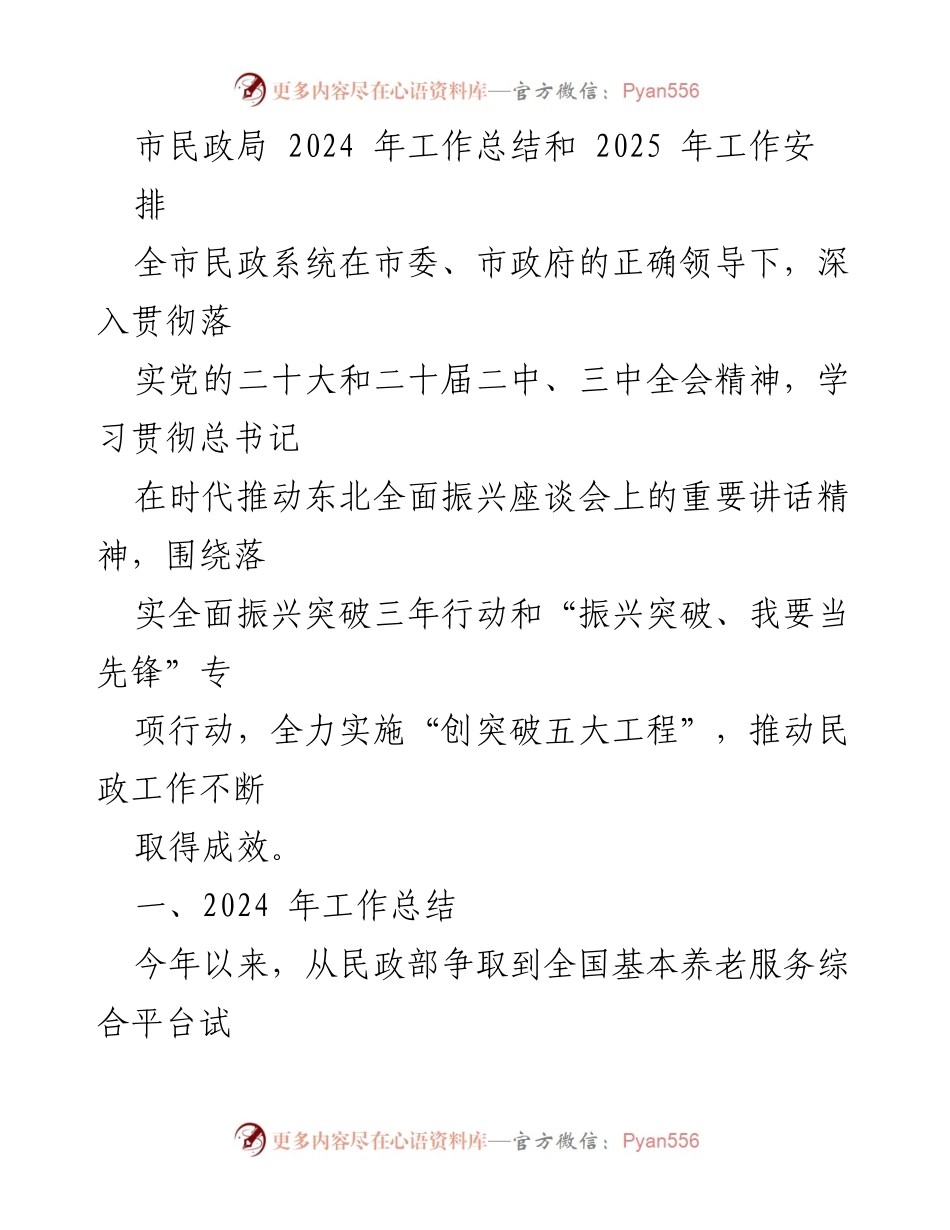 [工作总结] 市民政局 - 2024年民政工作总结与2025年工作安排.docx_第1页
