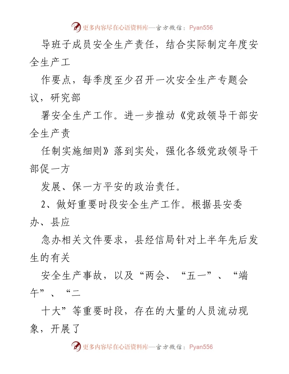 [工作总结] 安全生产 - 2023年县经信局安全生产工作总结.docx_第2页