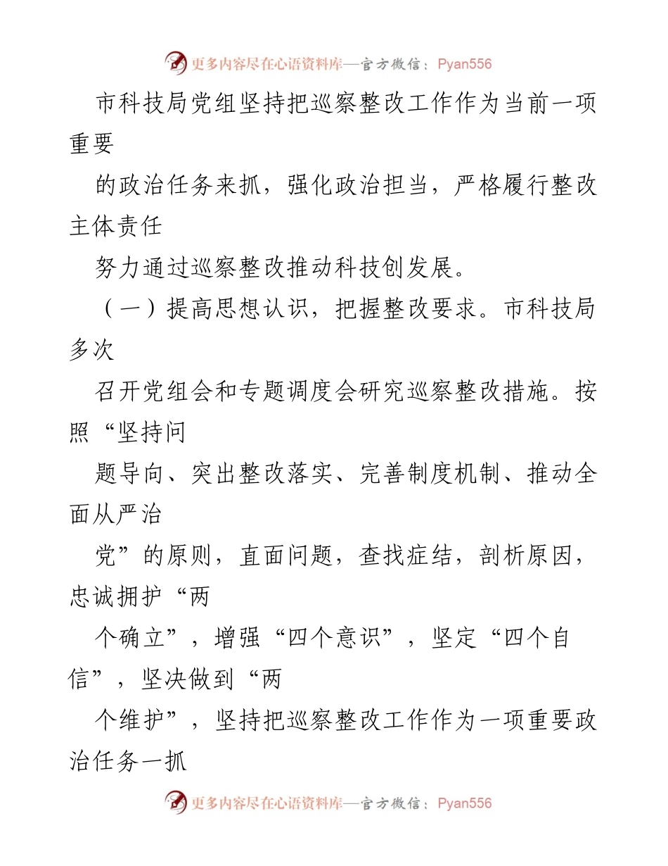 [工作总结] 巡察整改 - 市科技局巡察整改进展情况总结报告.docx_第2页