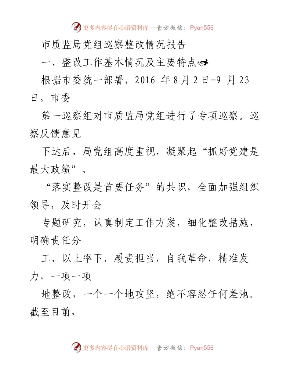 [工作总结] 巡察整改 - 市质监局党组巡察整改工作总结报告.docx_第1页