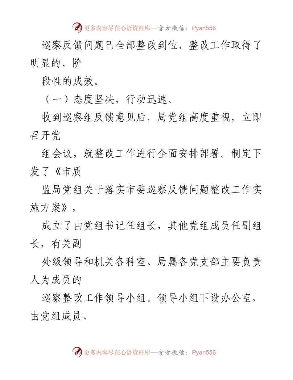 [工作总结] 巡察整改 - 市质监局党组巡察整改工作总结报告.docx_第2页