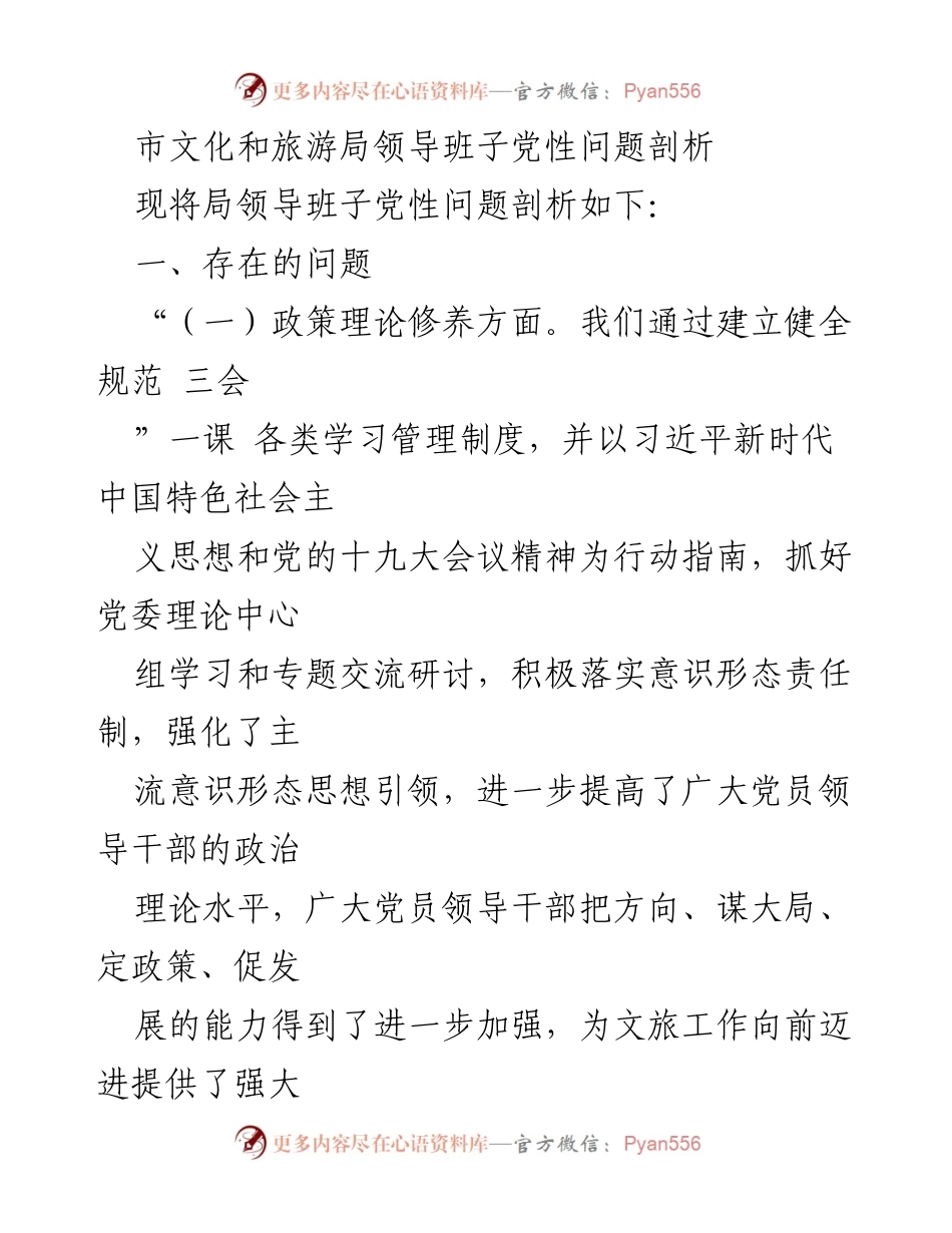 [工作总结] 市文化和旅游局 - 领导班子党性问题剖析与改进措施.docx_第1页