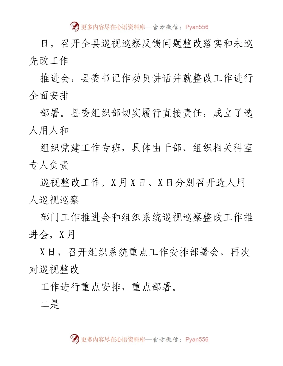 [工作总结] 巡视整改动员会 - X县巡视巡察整改工作情况汇报.docx_第2页