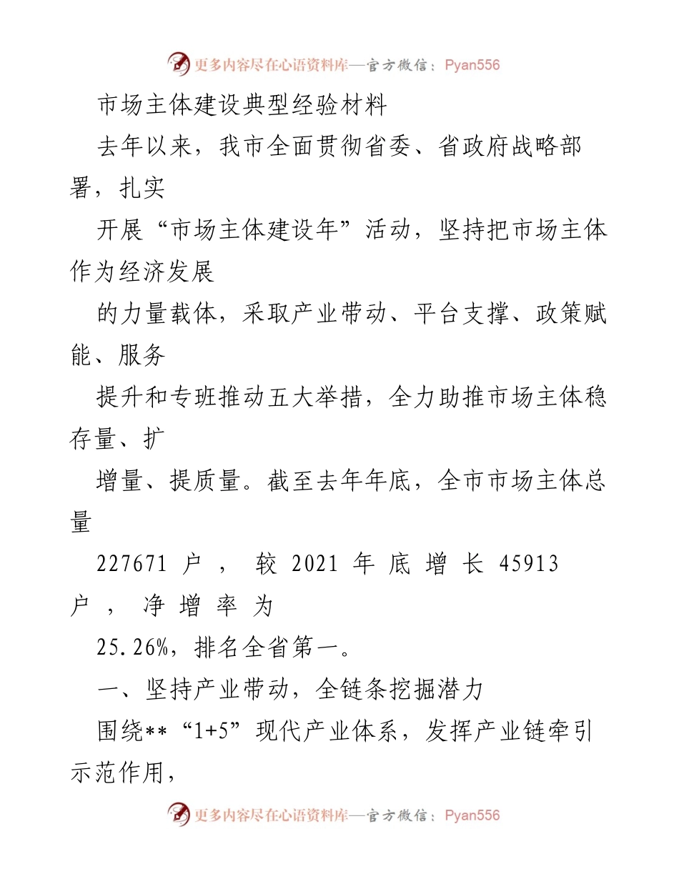 [工作总结] 市场主体建设年活动 - 市场主体建设成效与经验总结_2.docx_第1页