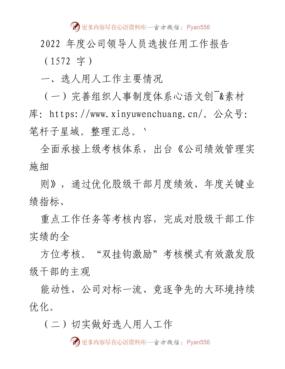 [工作总结] 年度干部选拔任用 - 2022年度公司领导人员选拔任用工作总结报告.docx_第1页