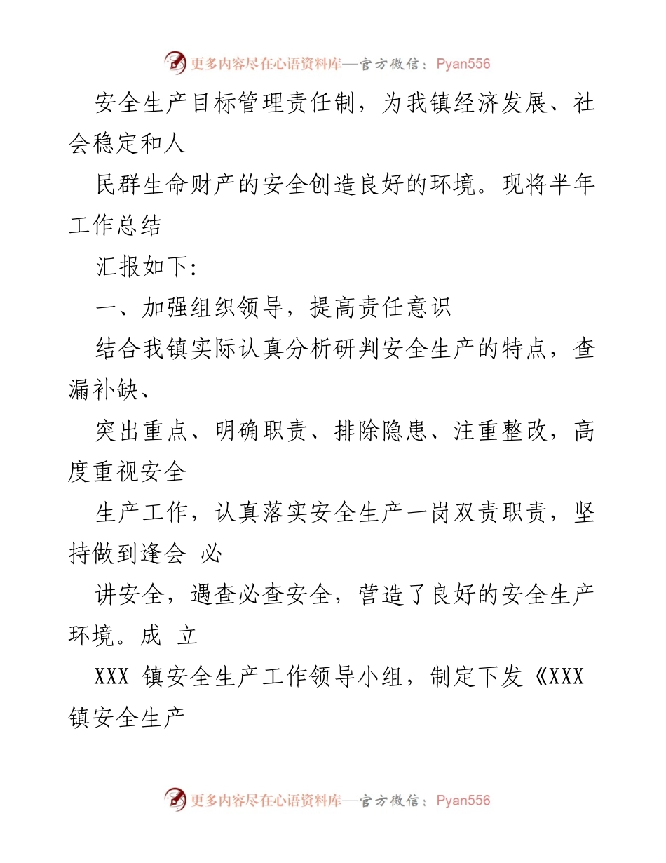 [工作总结] 安全生产 - XX镇2023年上半年安全生产工作总结_1.docx_第2页