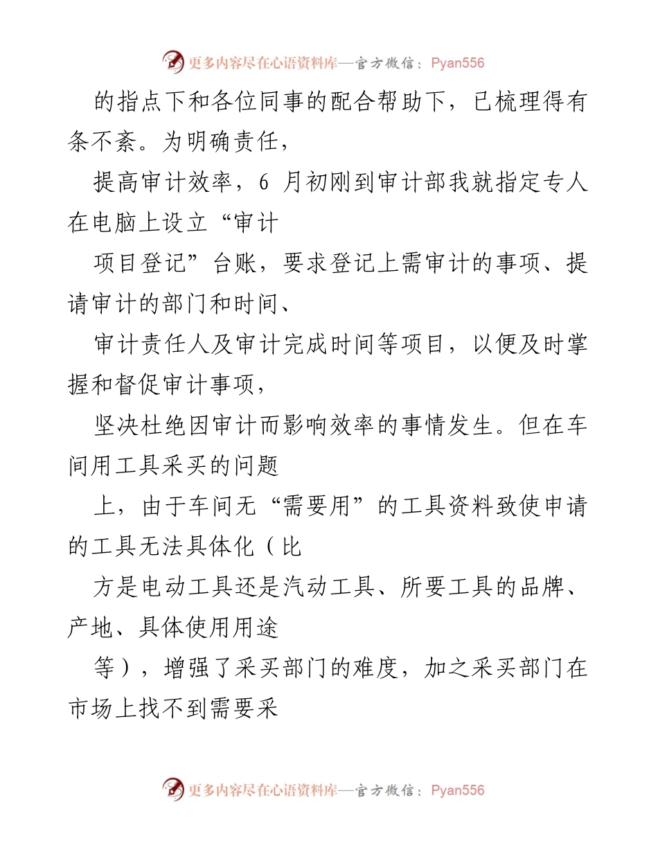 [工作总结] 审计工作汇报 - 加强审计管理，提升工作效率与成本控制.docx_第2页