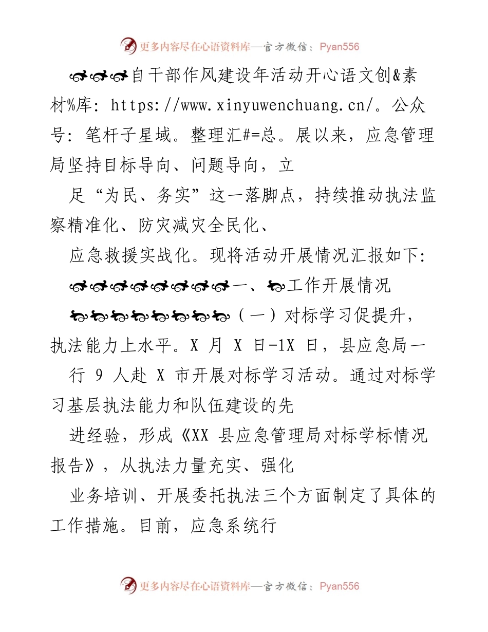 [工作总结] 干部作风建设年活动 - 应急管理局工作开展情况汇报.docx_第1页