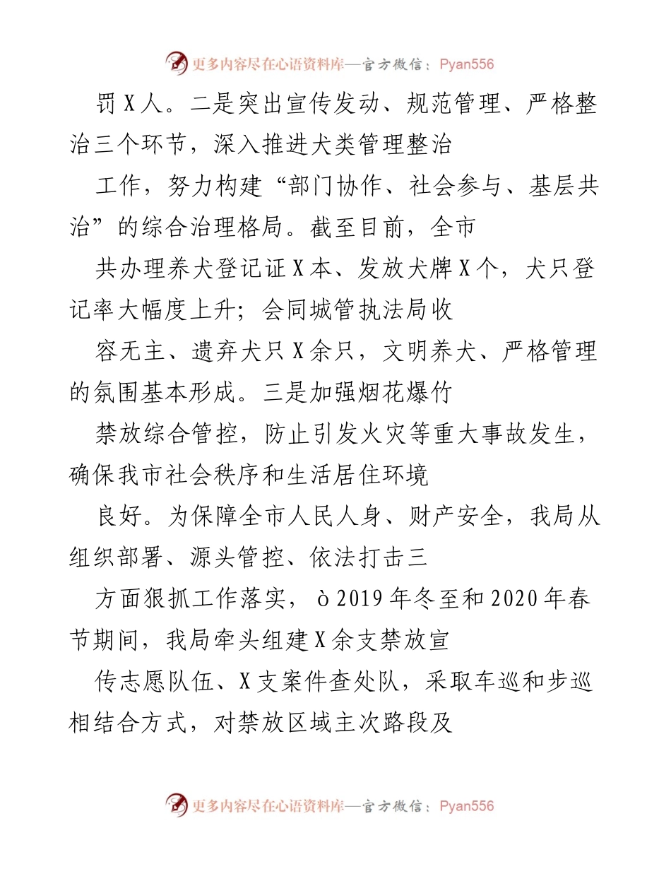 [工作总结] 年度工作总结 - 2020年X市社会治安工作总结与成效分析.docx_第2页