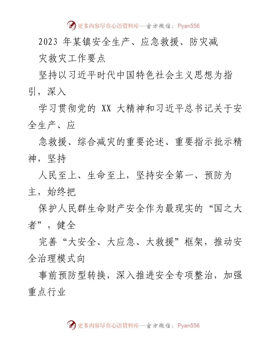 [工作总结] 安全生产工作会议 - 2023年某镇安全生产与应急救援工作要点总结.docx_第1页