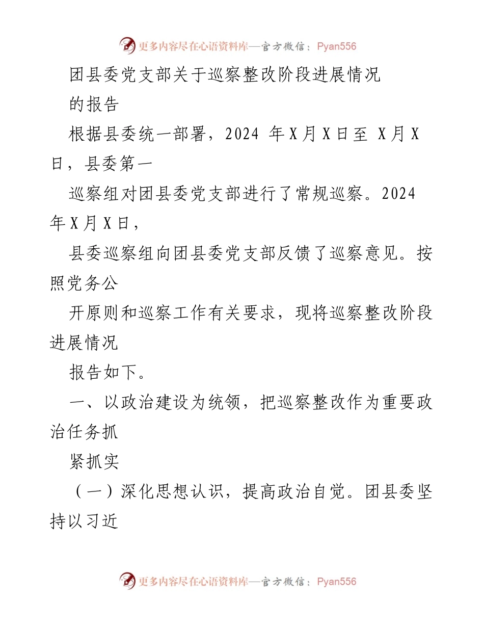 [工作总结] 巡察整改 - 团县委党支部巡察整改阶段进展情况报告.docx_第1页