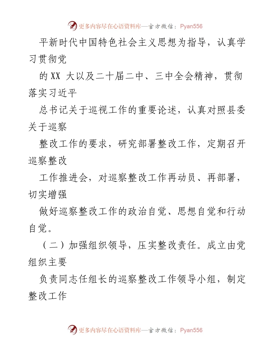 [工作总结] 巡察整改 - 团县委党支部巡察整改阶段进展情况报告.docx_第2页