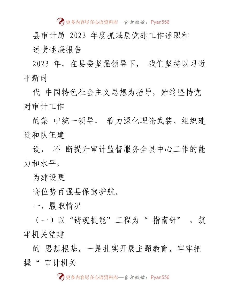 [工作总结] 审计局 - 2023年度基层党建工作述职与述责述廉报告.docx_第1页