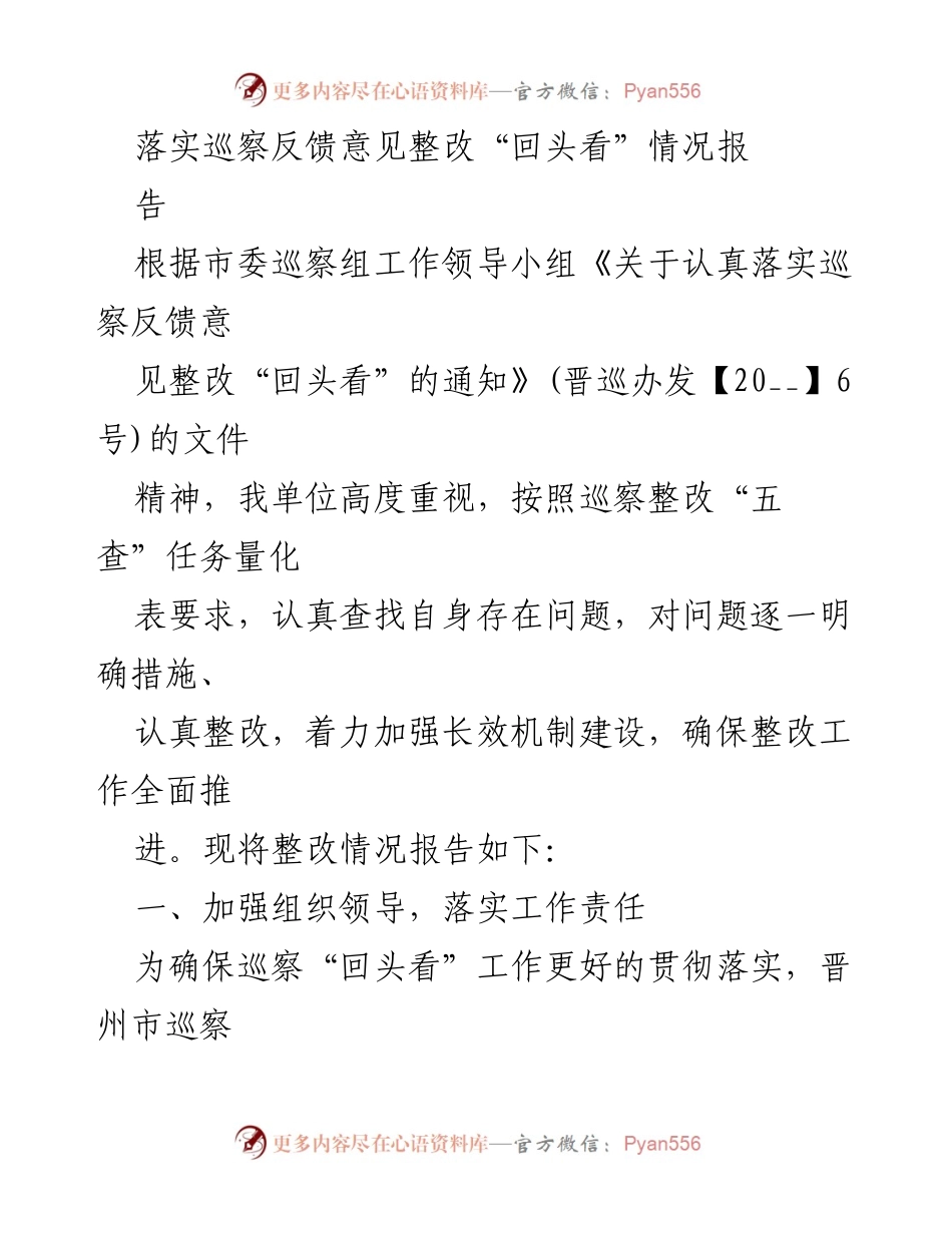 [工作总结] 巡察整改 - 巡察反馈意见整改“回头看”情况报告.docx_第1页