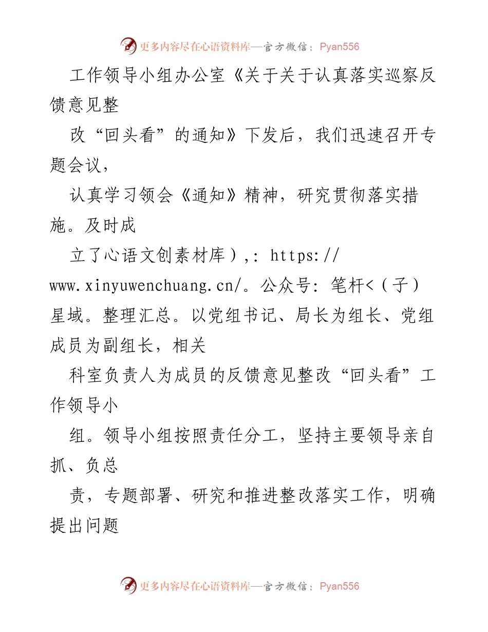 [工作总结] 巡察整改 - 巡察反馈意见整改“回头看”情况报告.docx_第2页