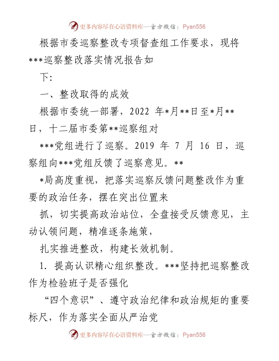 [工作总结] 巡察整改 - ___党组巡察整改落实情况报告.docx_第1页