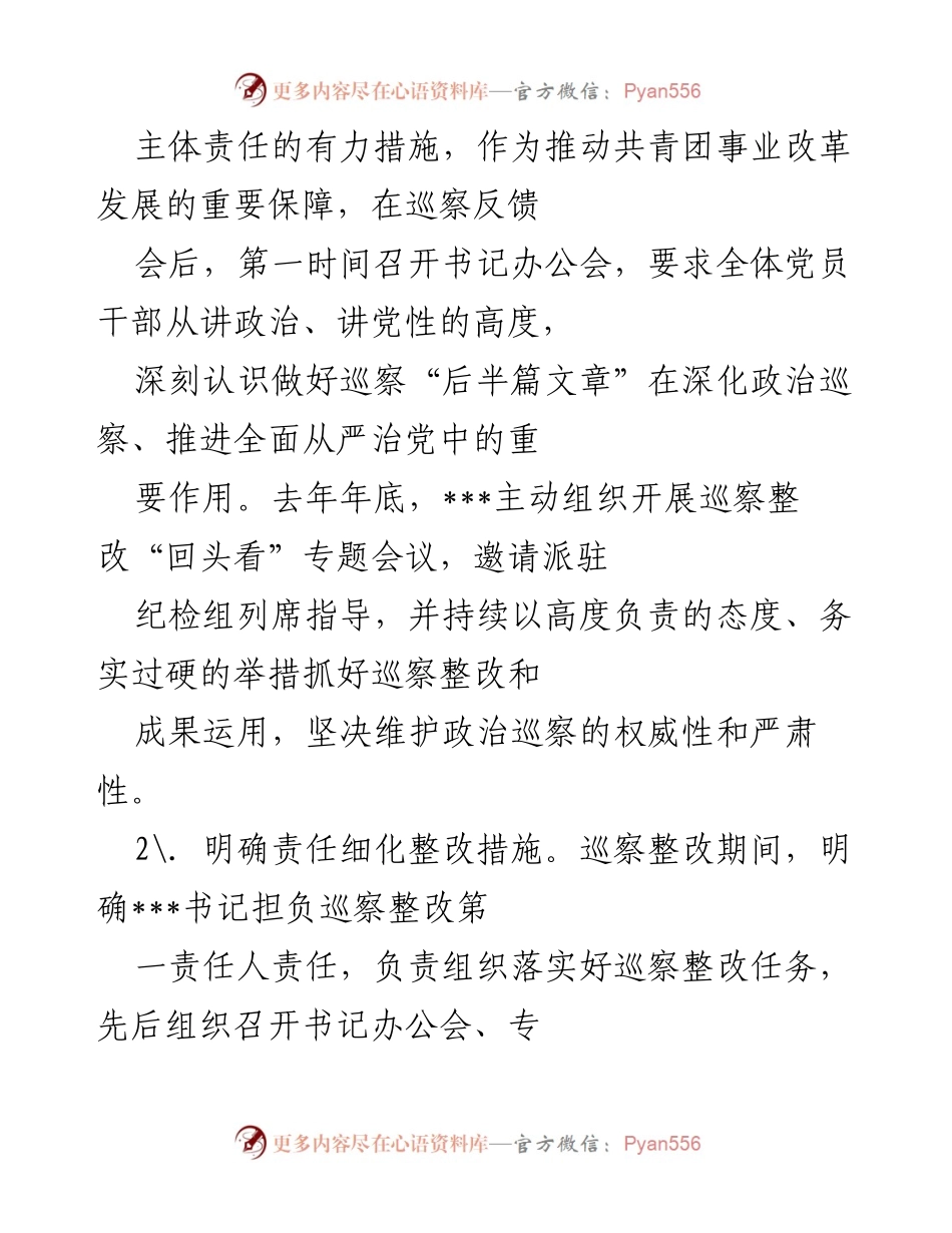 [工作总结] 巡察整改 - ___党组巡察整改落实情况报告.docx_第2页