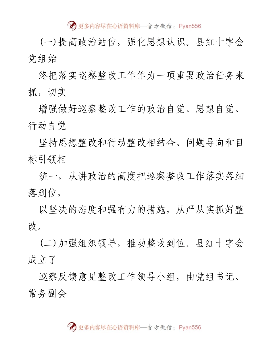 [工作总结] 巡察整改 - 县红十字会2022年巡察整改进展情况报告.docx_第2页